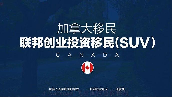 【全新操作之二】联邦SUV创投工签移民项目